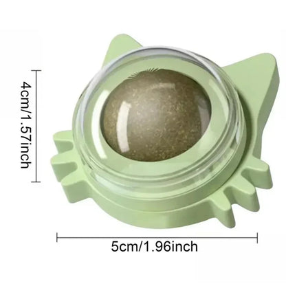 Catnip Wall Spin Ball - 